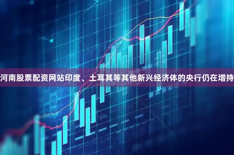 河南股票配资网站印度、土耳其等其他新兴经济体的央行仍在增持
