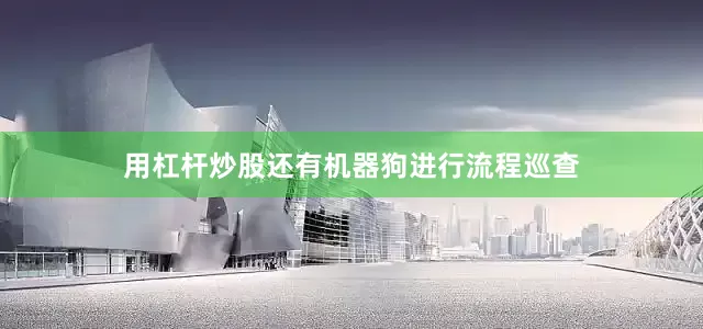 用杠杆炒股还有机器狗进行流程巡查