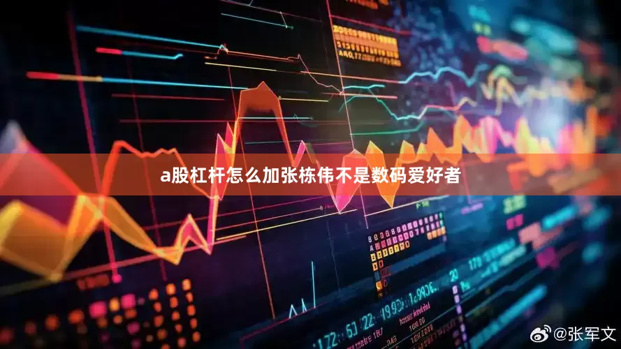a股杠杆怎么加张栋伟不是数码爱好者